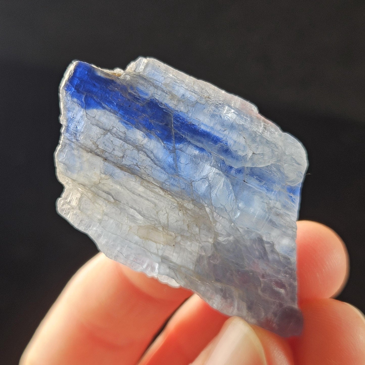 Bicolor Kyanite