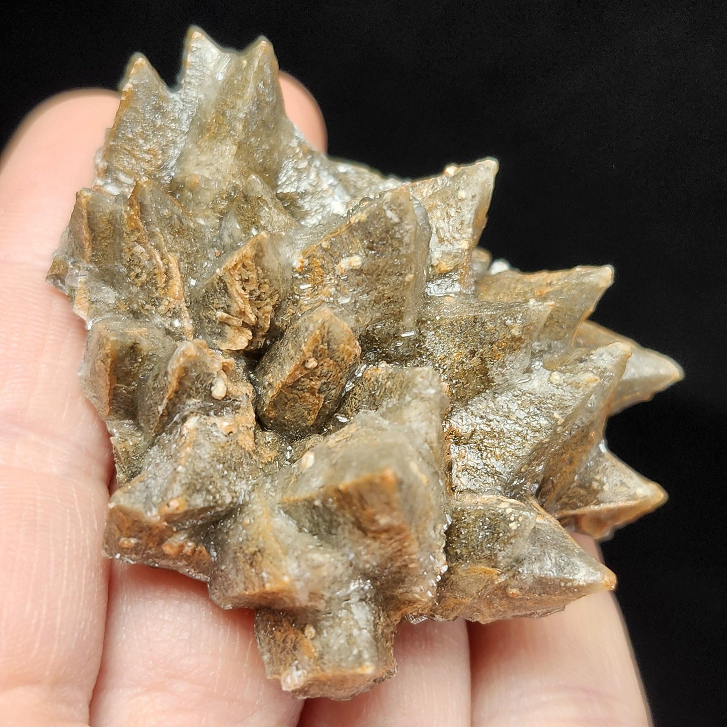 Chocolate Dogtooth Calcite