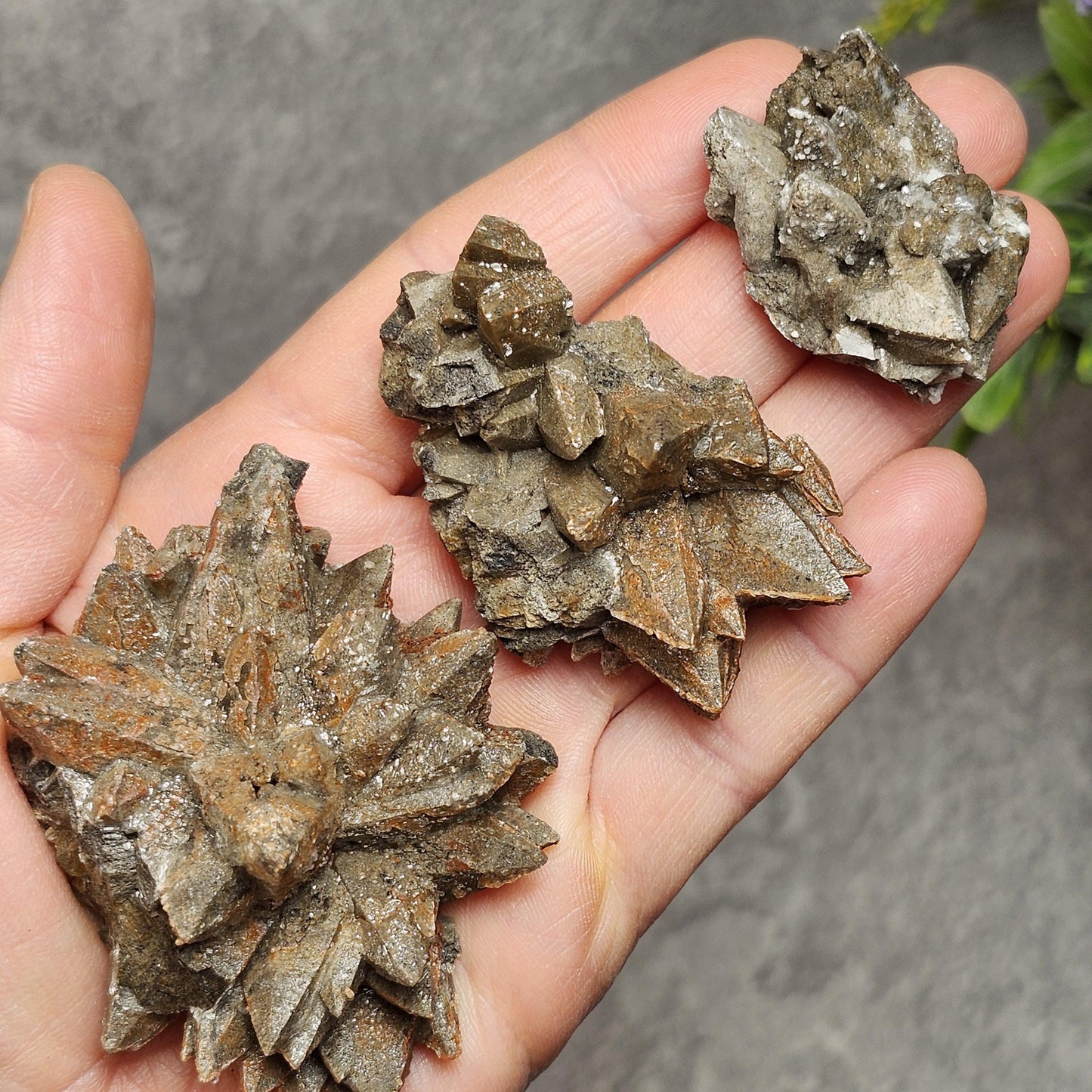 Chocolate Dogtooth Calcite