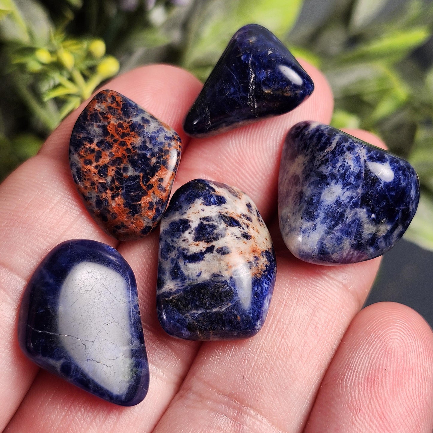 Sodalite Crystal