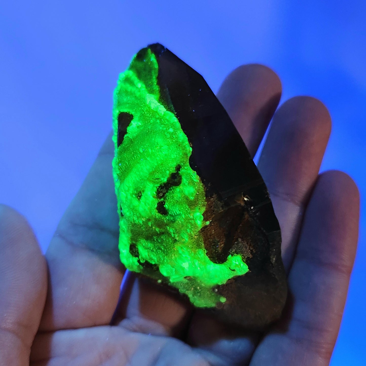 Hyalite Opal