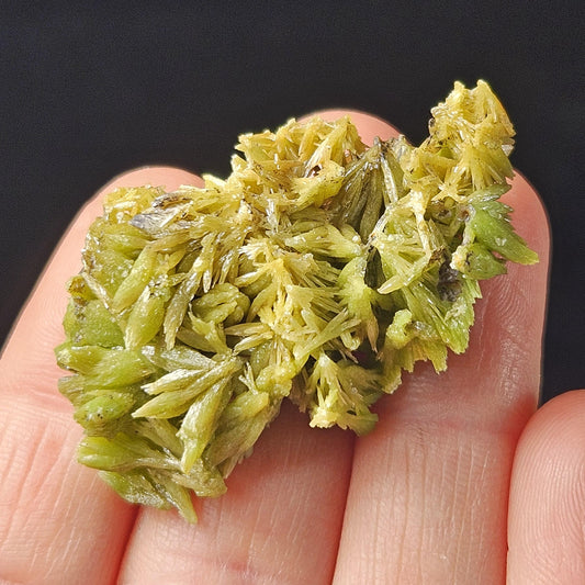 Pyromorphite Crystal