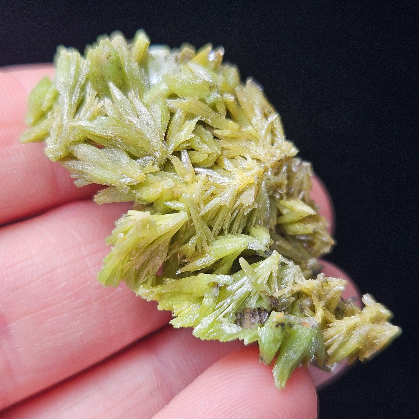 Pyromorphite Crystal