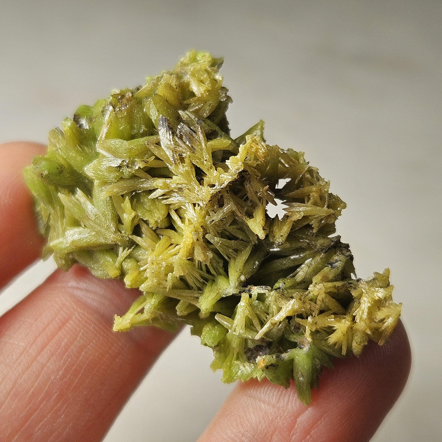 Pyromorphite Crystal