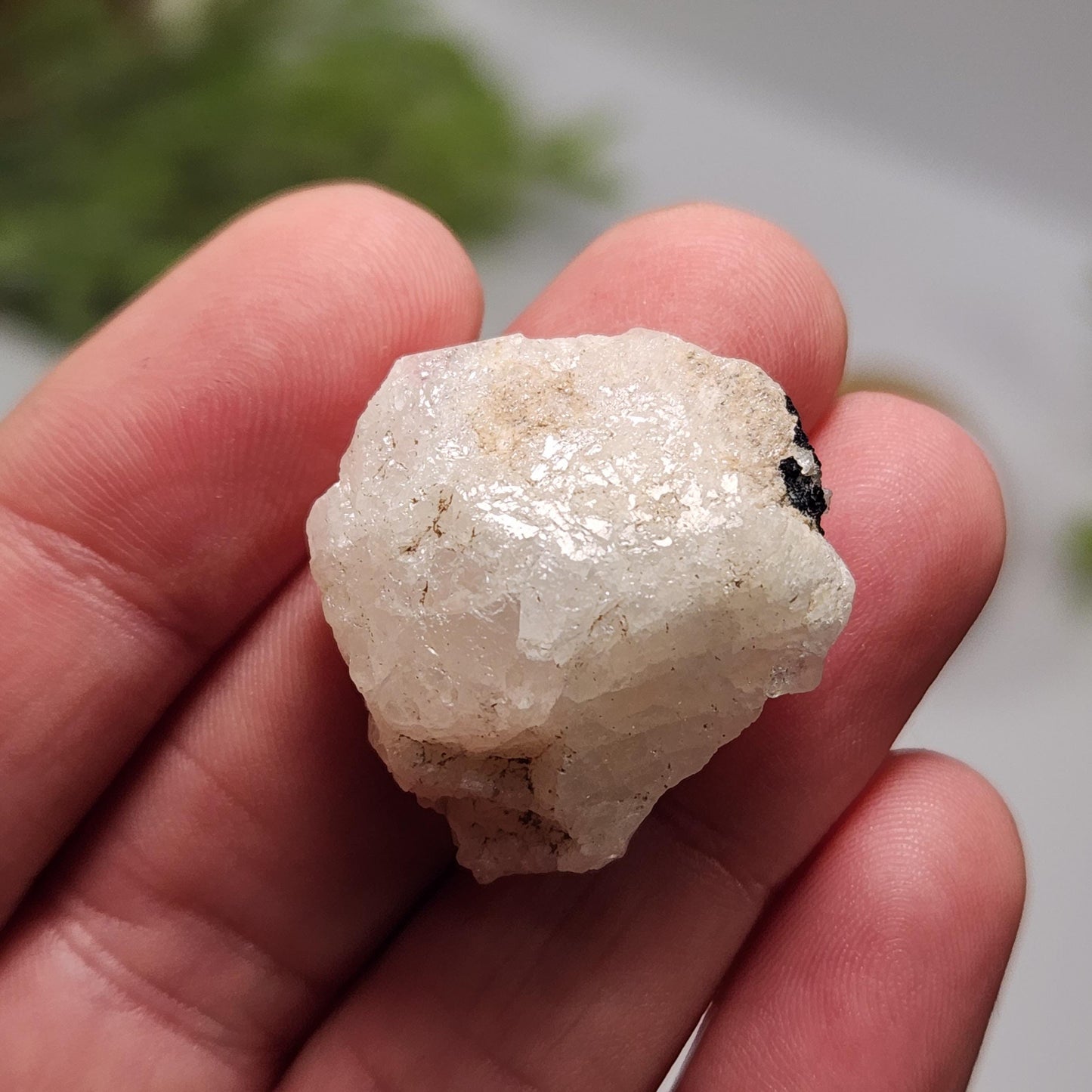 Nigerian Phenacite Crystal