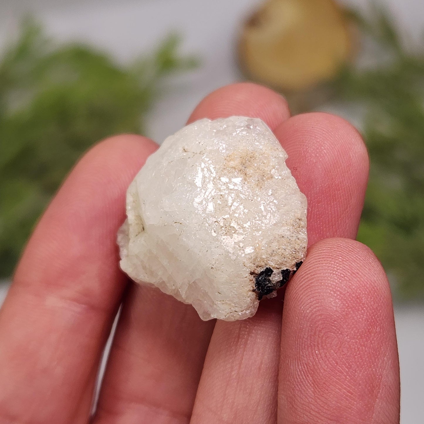 Nigerian Phenacite Crystal