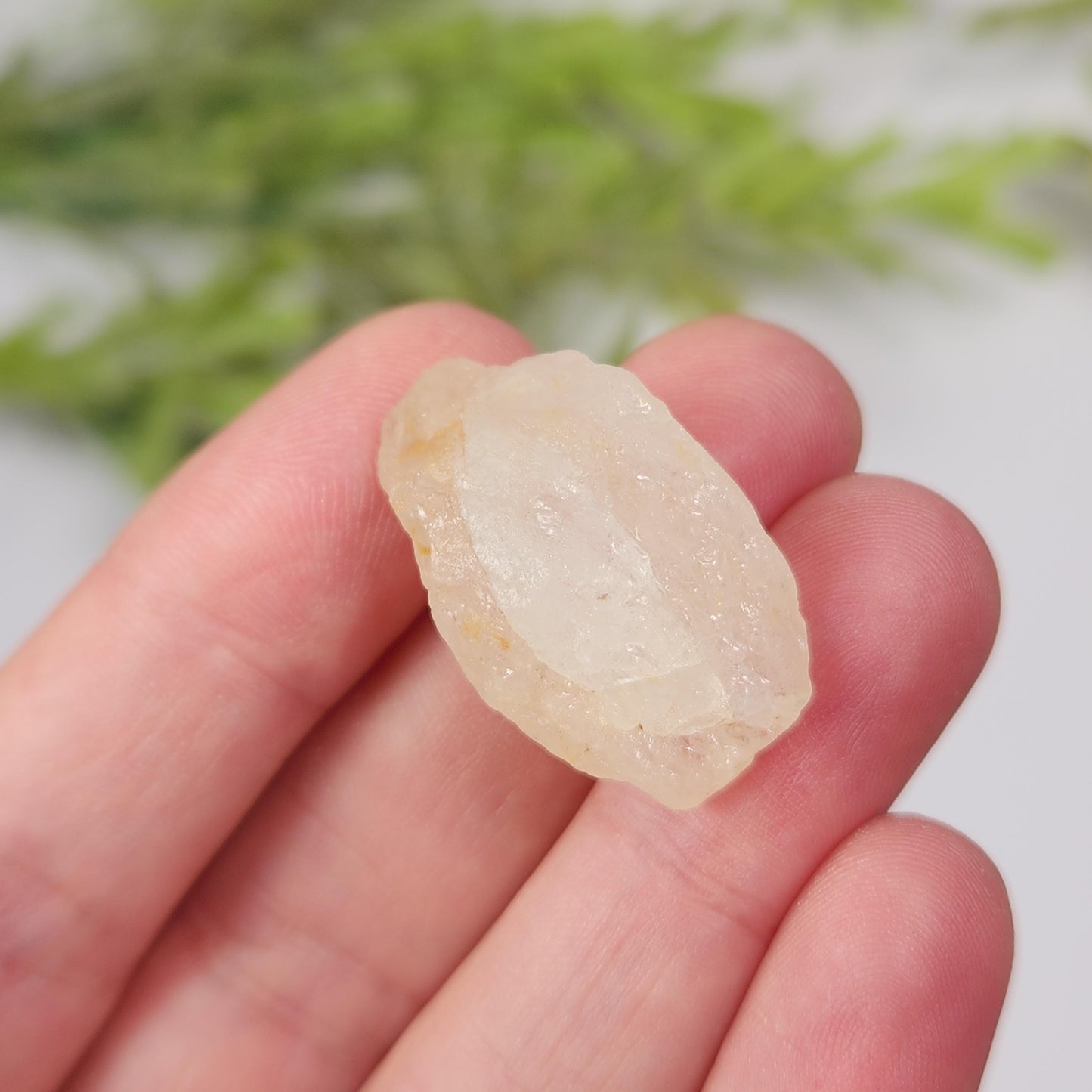 Phenacite Crystal