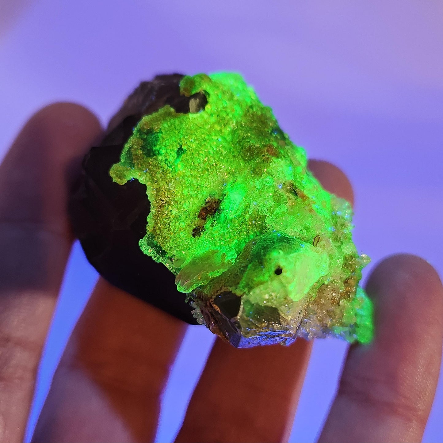 Hyalite Opal