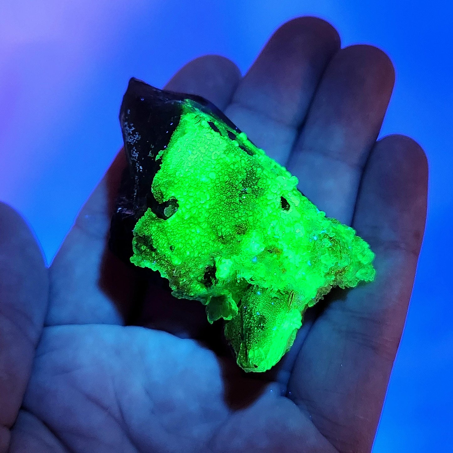 Hyalite Opal