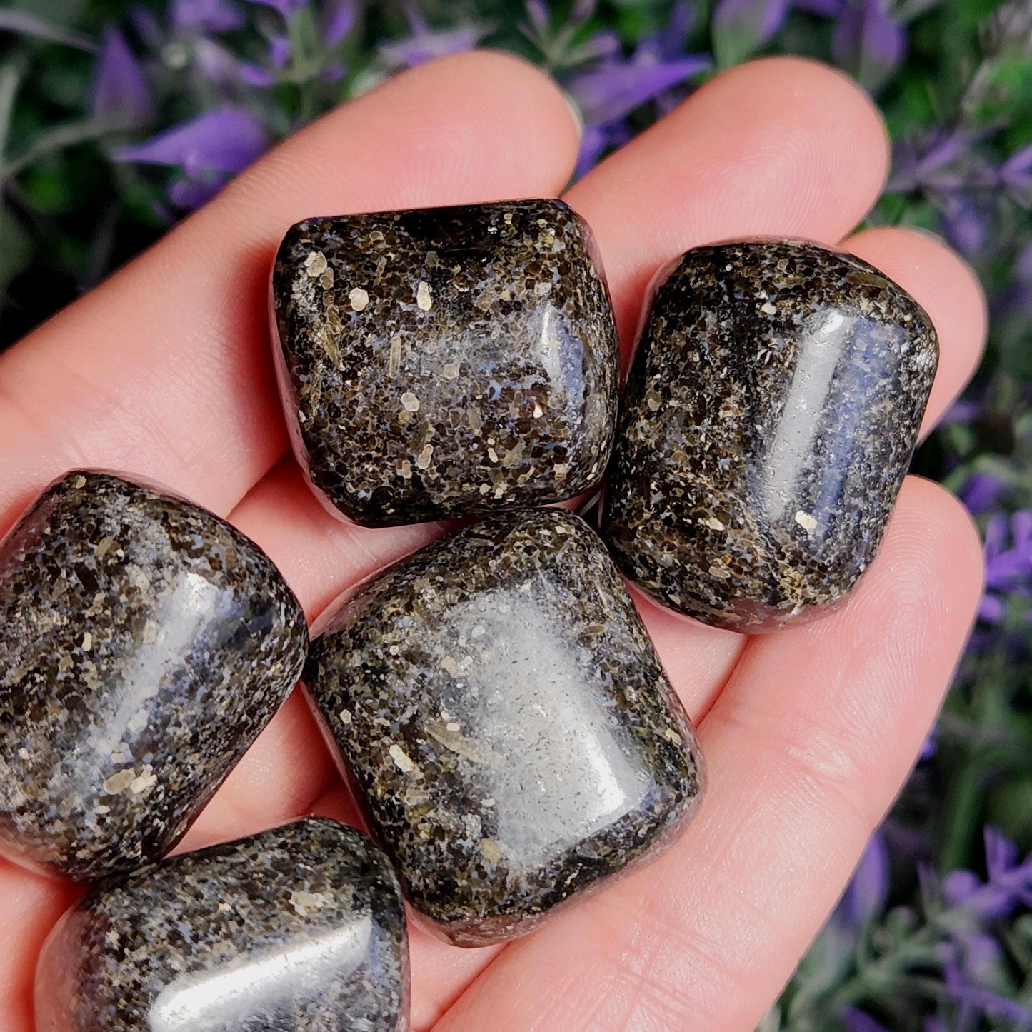 Indian Nuummite
