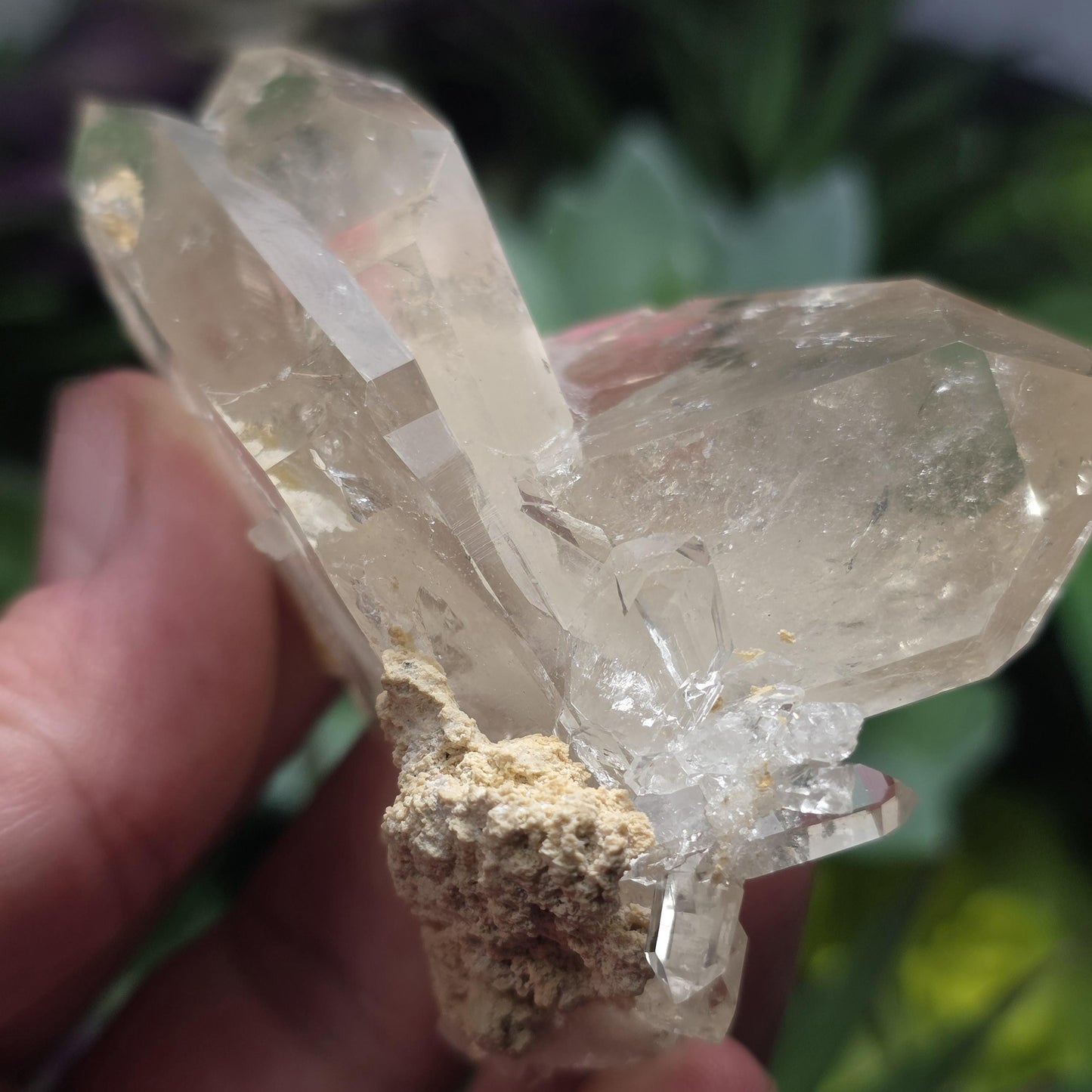 Twin MANIFESTATION Himalayan Quartz