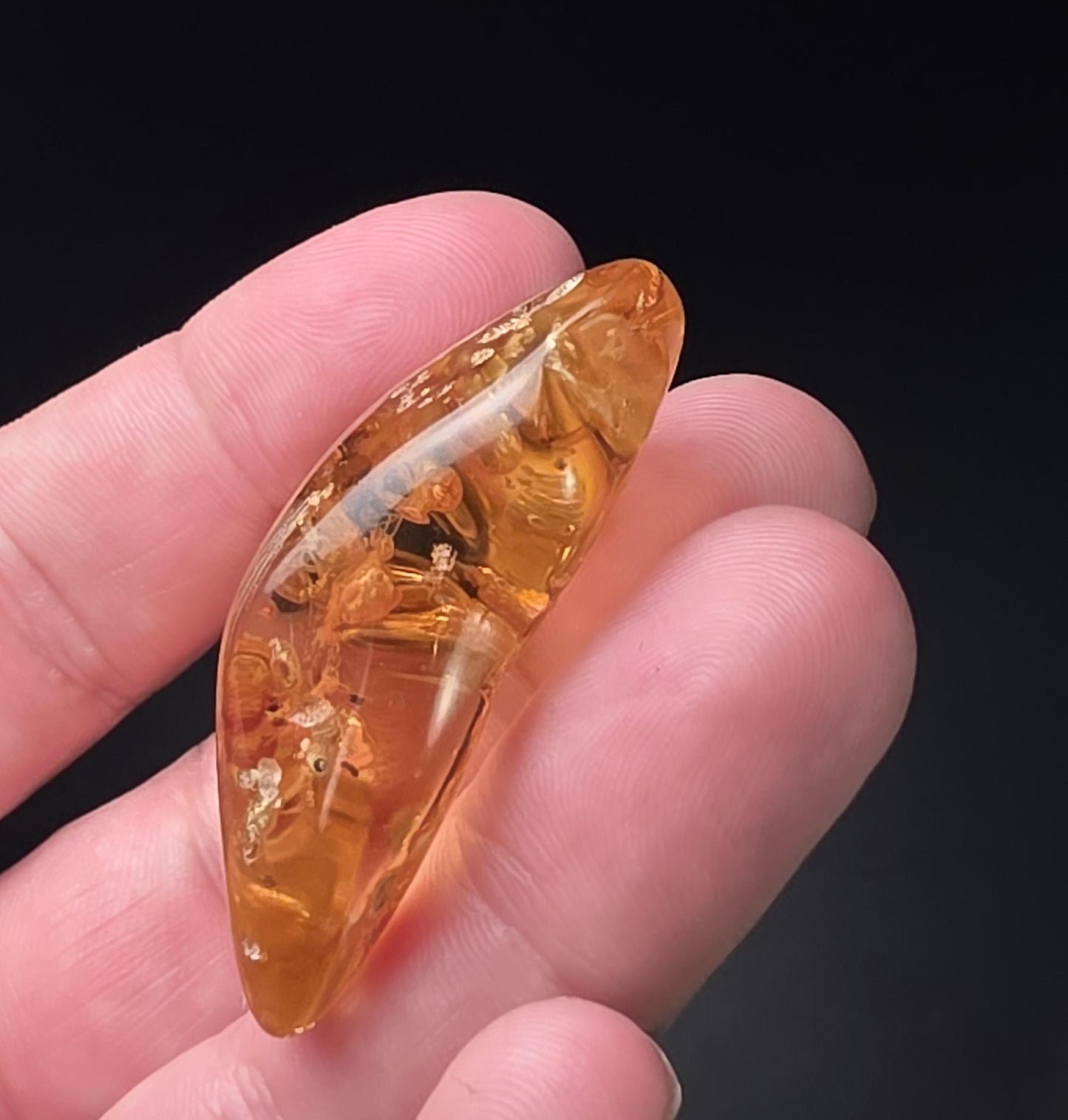 Amber with Bugs