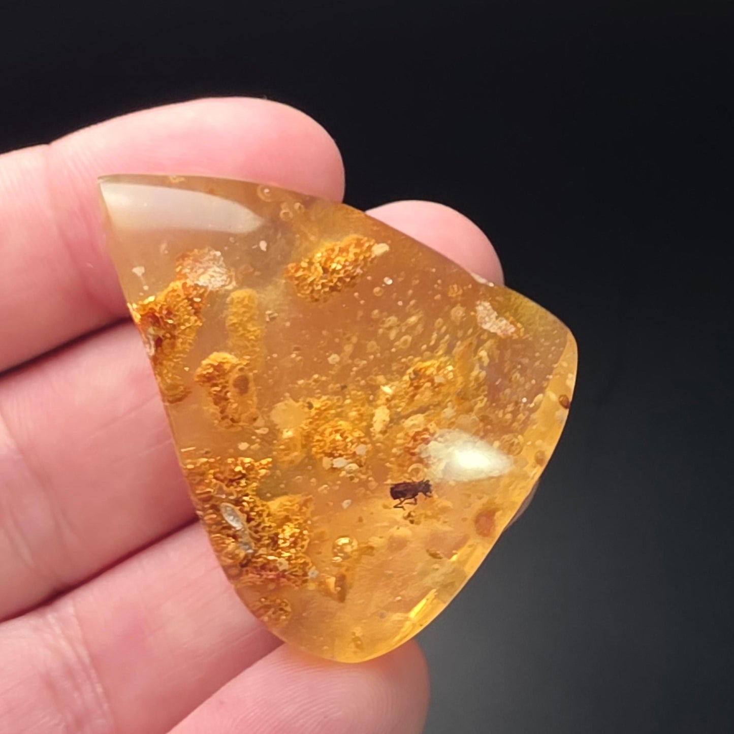 Amber with Bugs & Static ENHYDRO