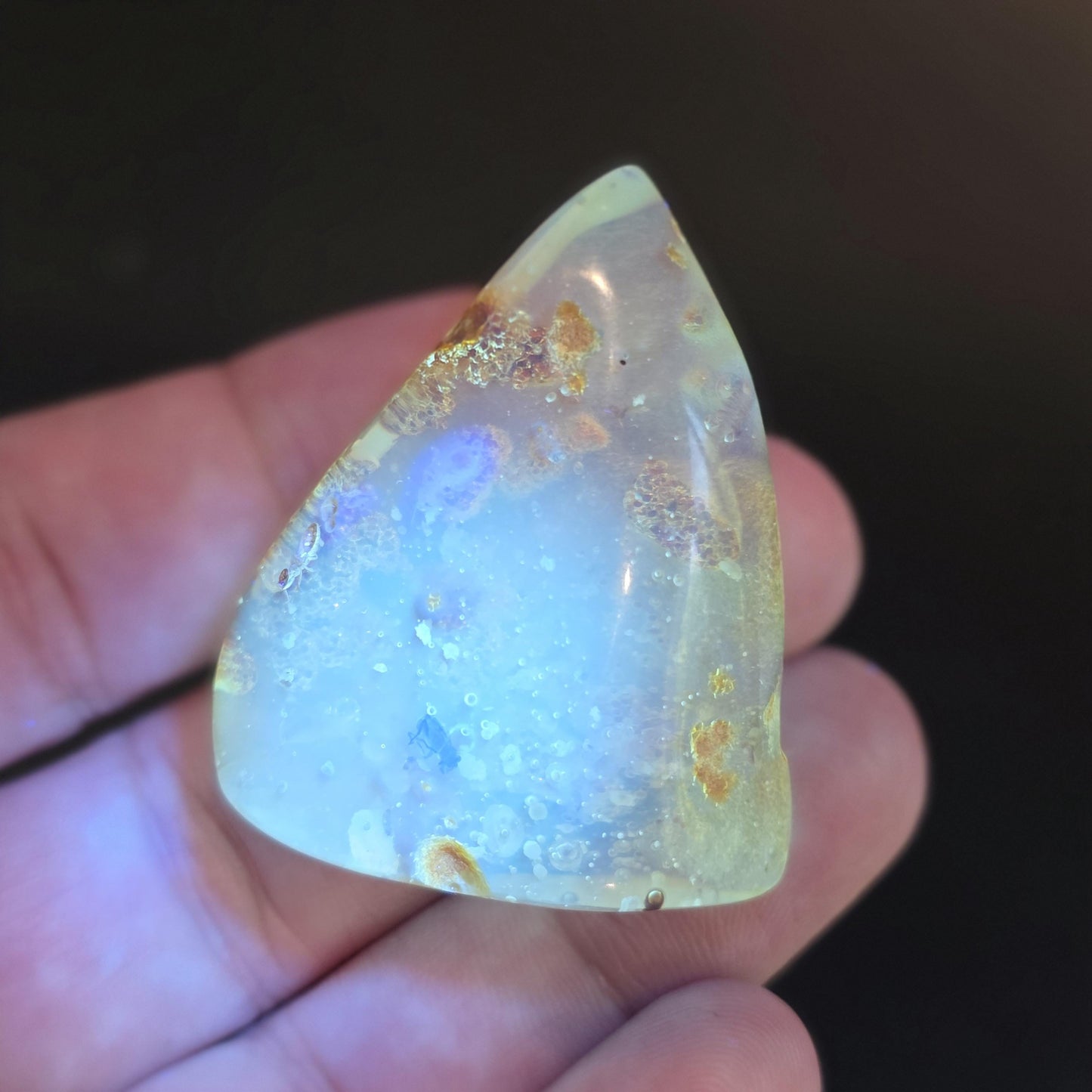 Amber with Bugs & Static ENHYDRO