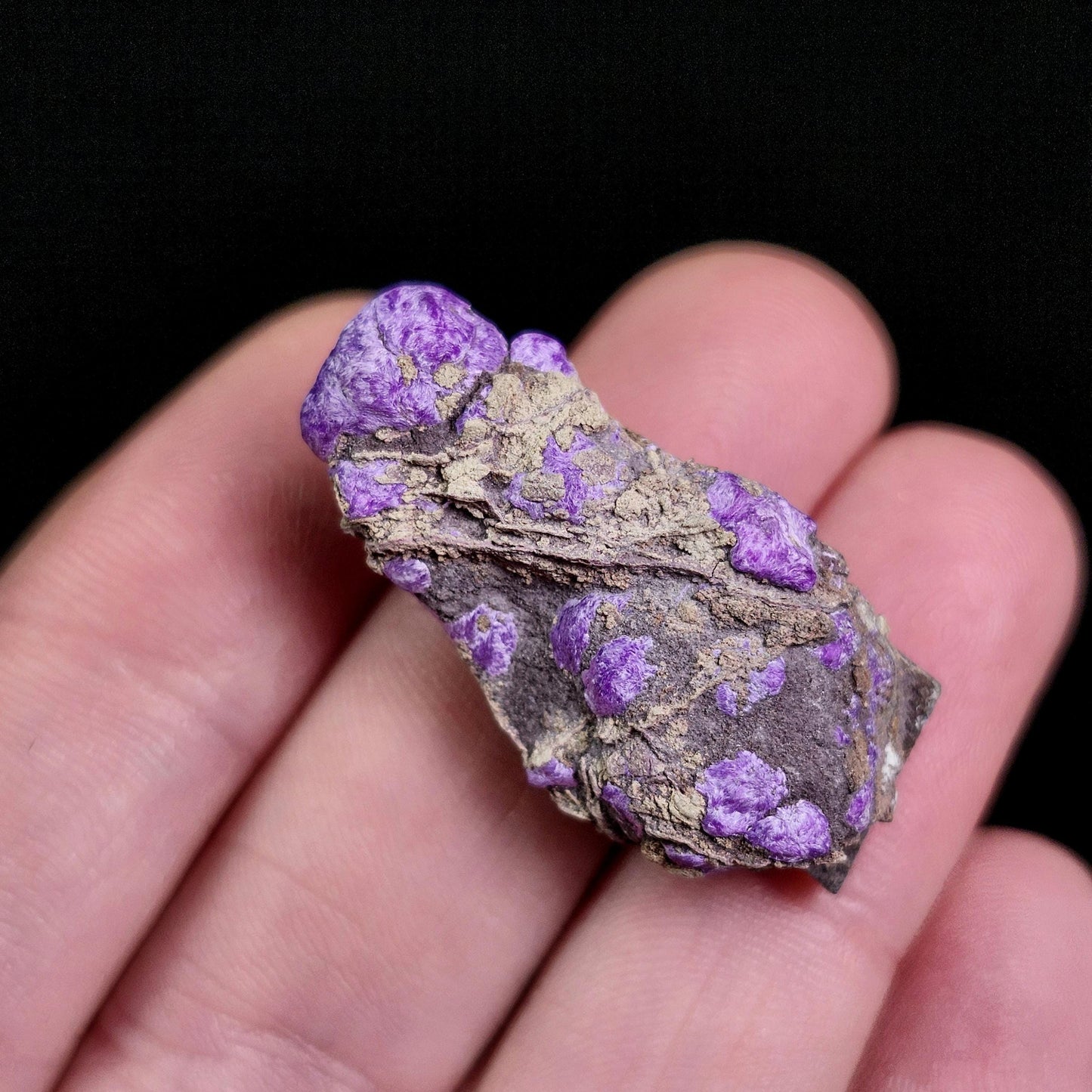 Fibrous Sugilite