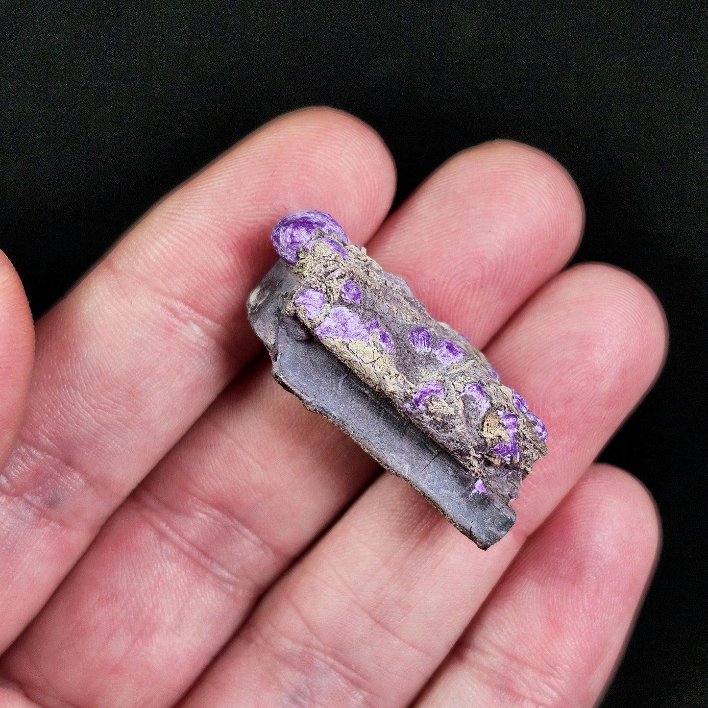 Fibrous Sugilite
