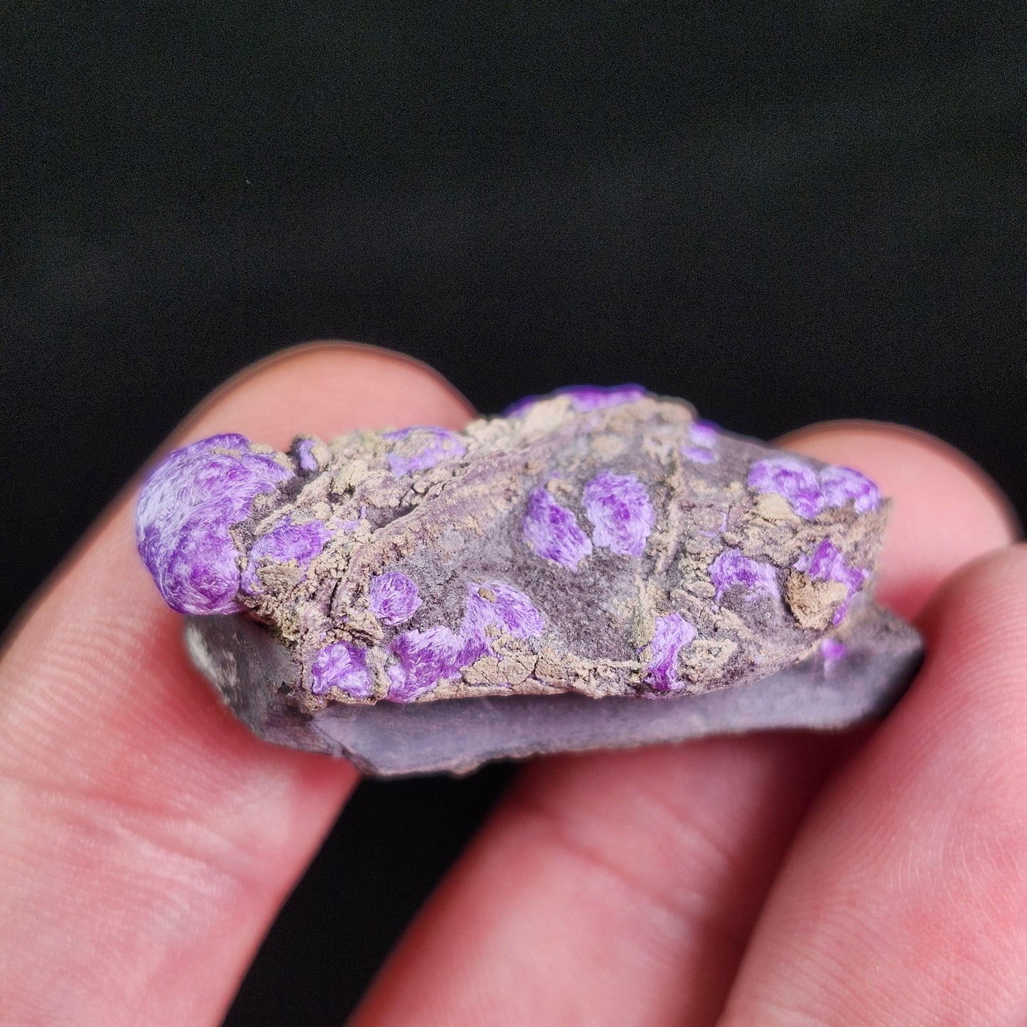 Fibrous Sugilite