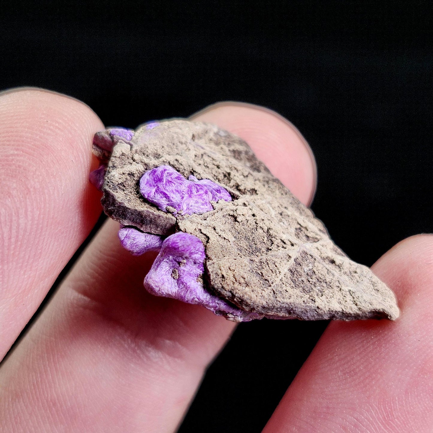Fibrous Sugilite