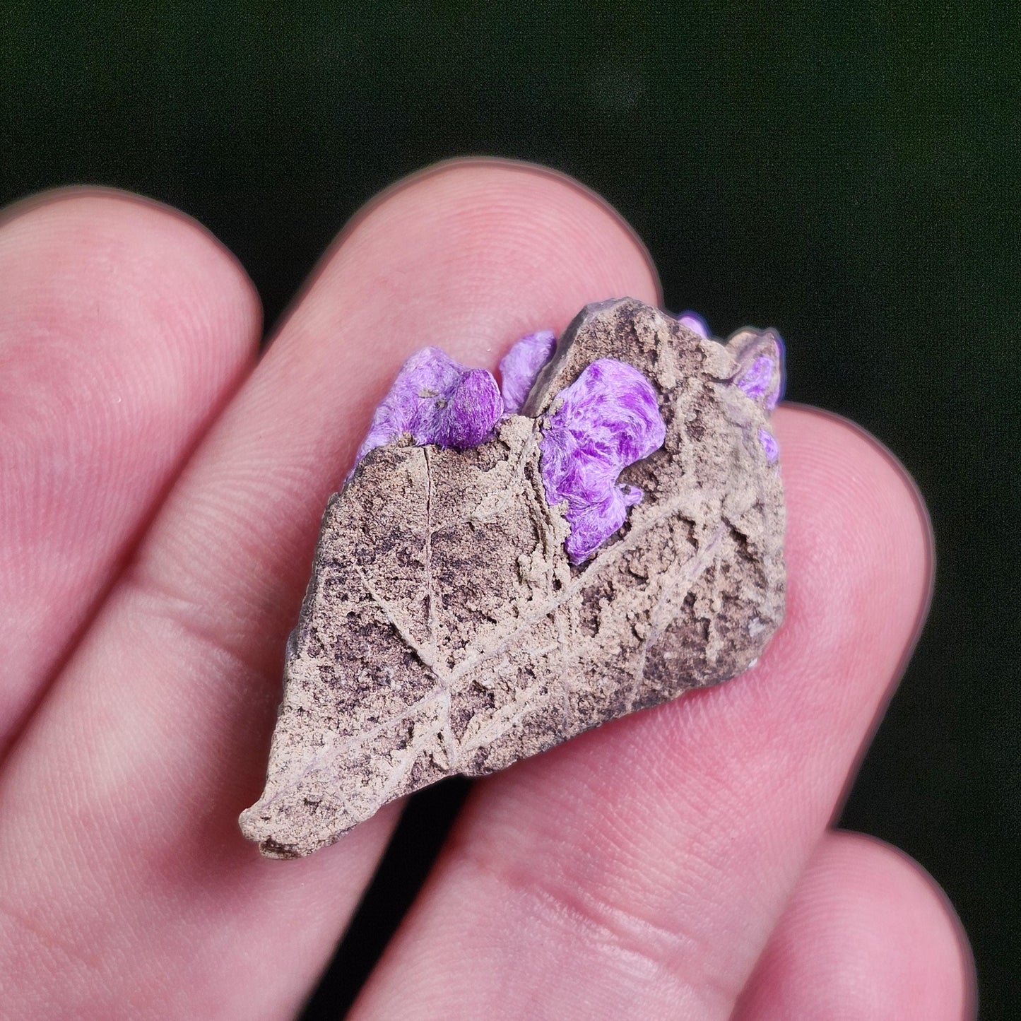 Fibrous Sugilite