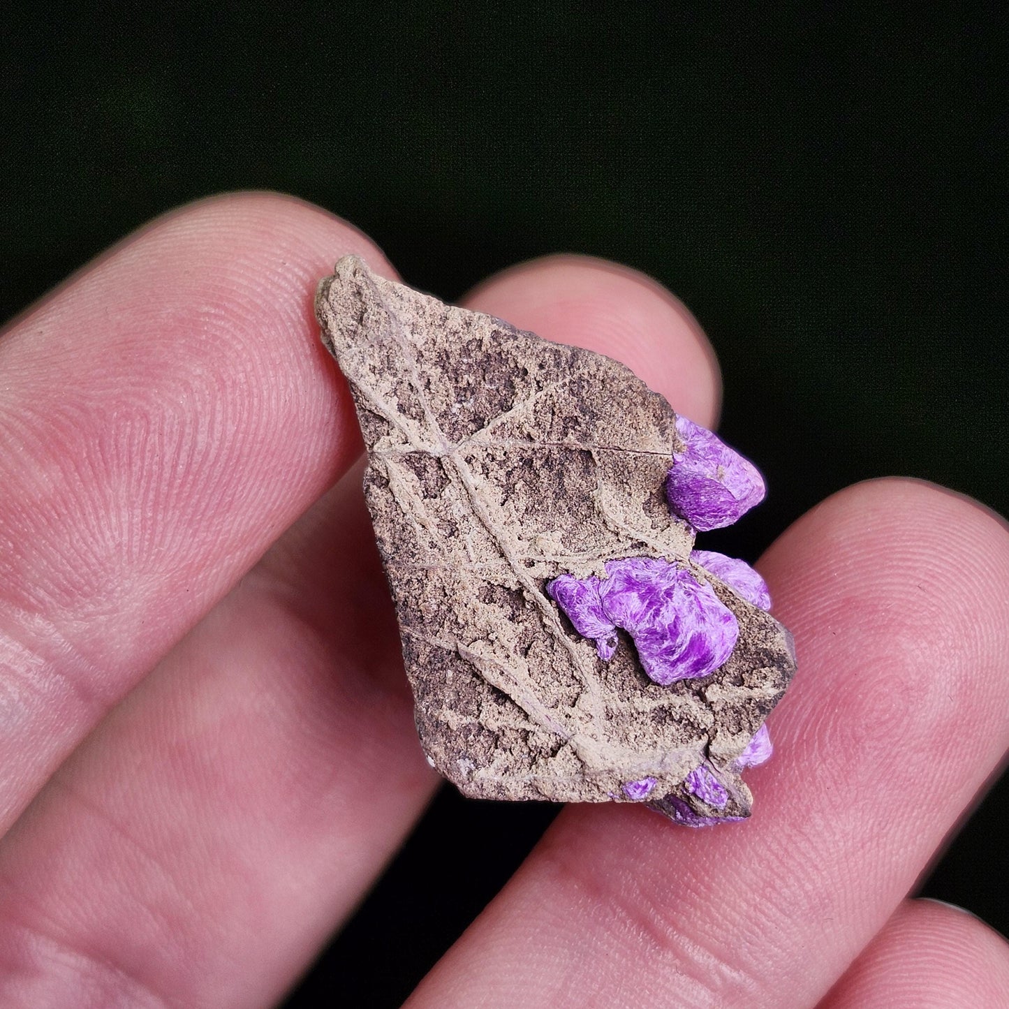 Fibrous Sugilite
