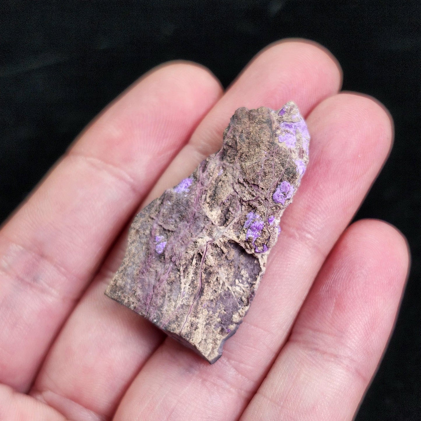 Fibrous Sugilite