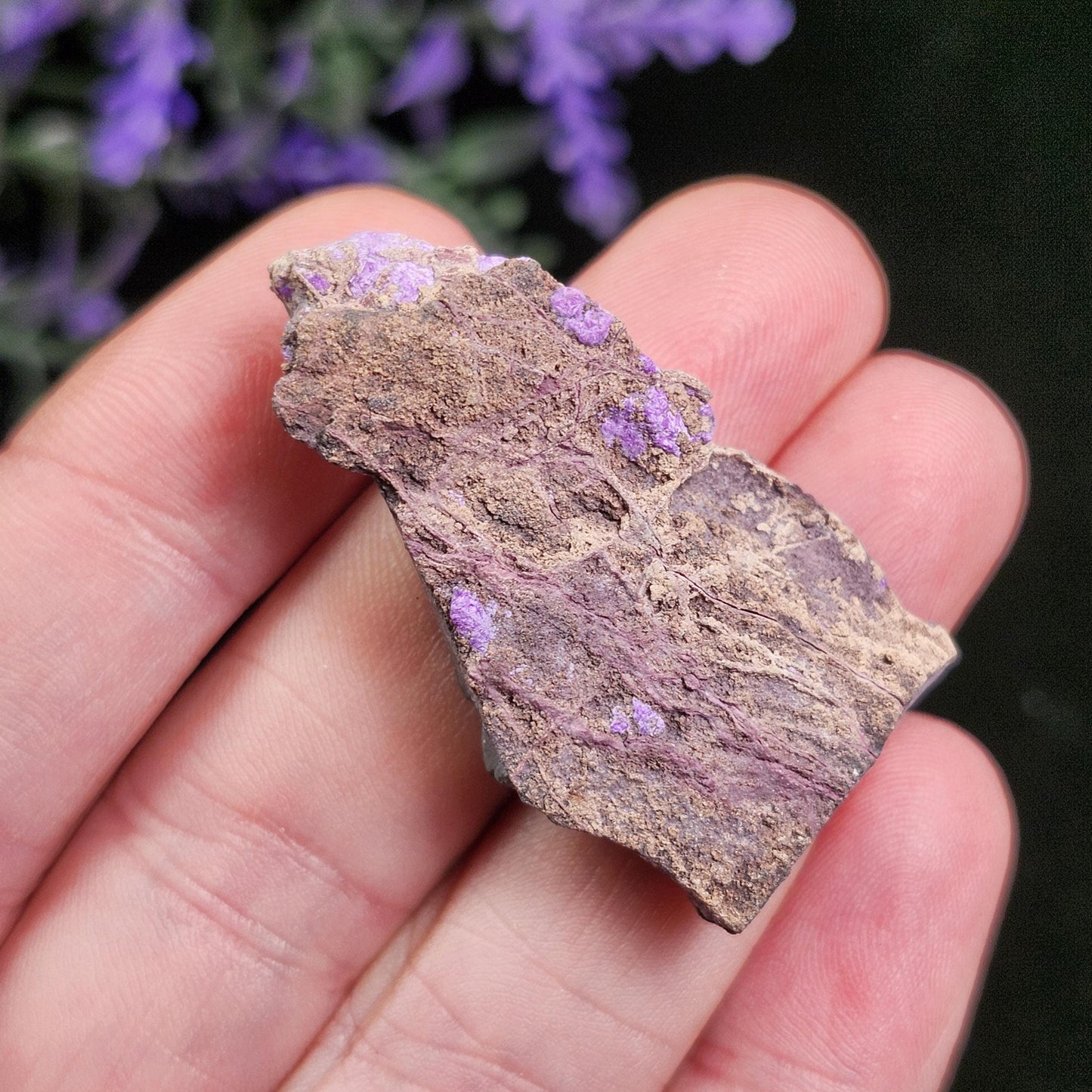 Fibrous Sugilite