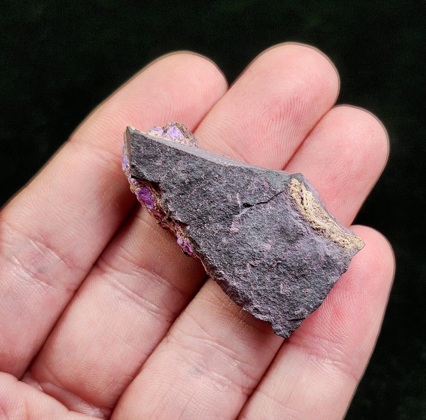 Fibrous Sugilite