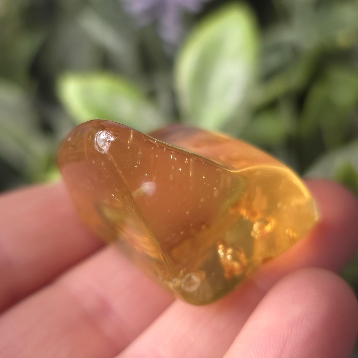 Amber with Bugs & Static ENHYDRO