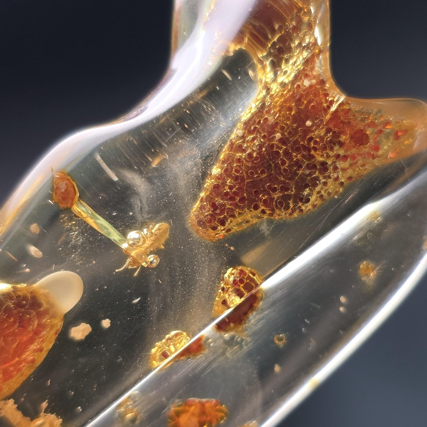 Enhydro AMBER with Bugs