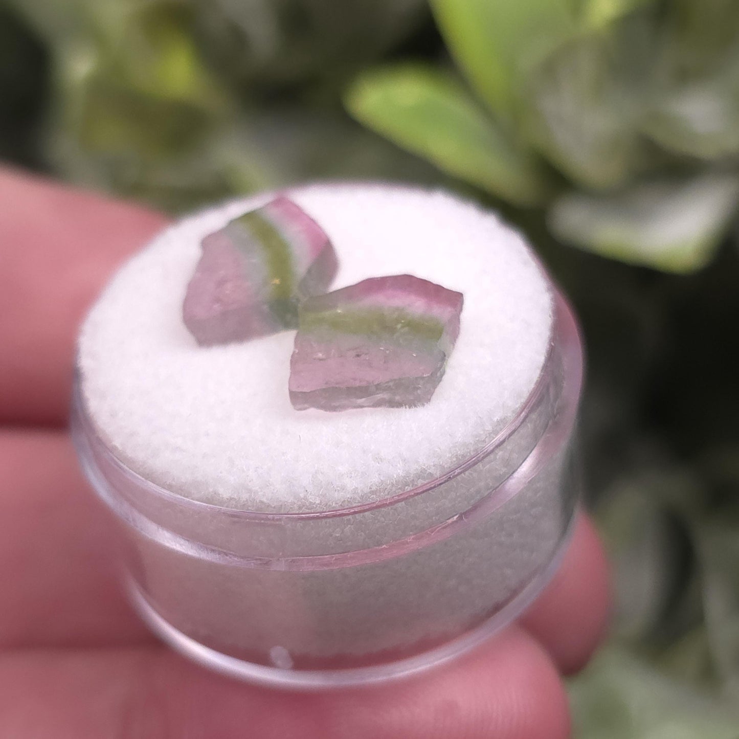 Watermelon Tourmaline Slices