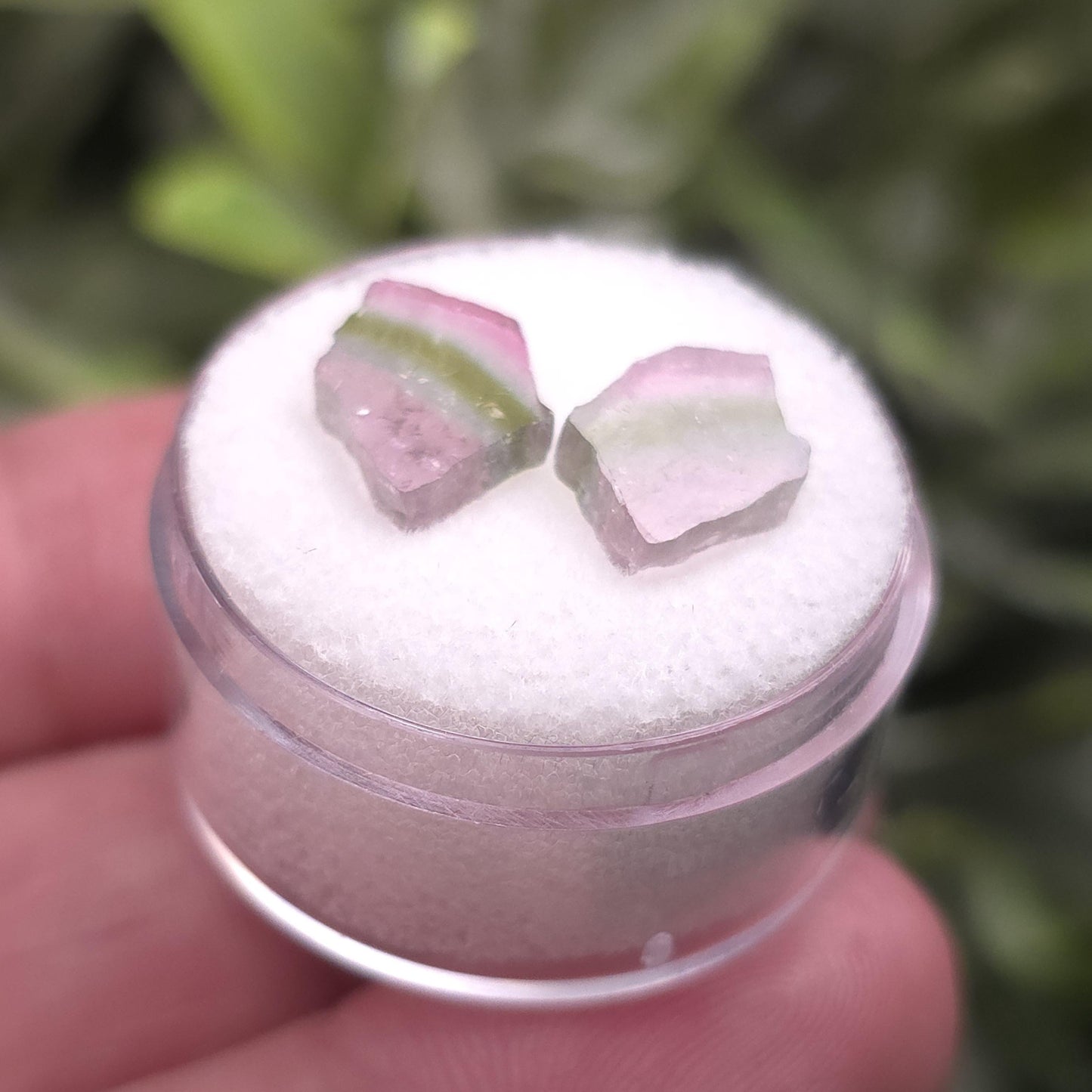 Watermelon Tourmaline Slices