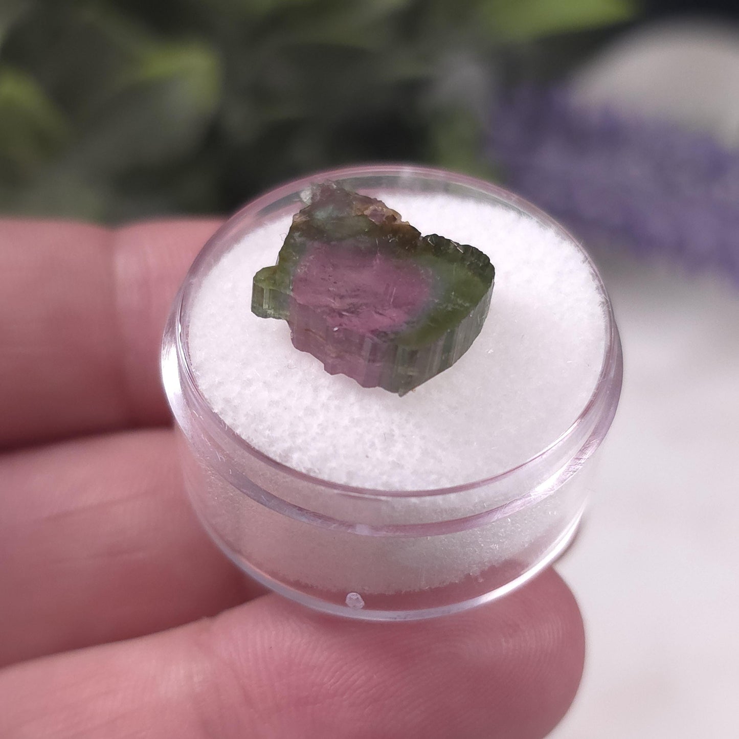 Watermelon Tourmaline Slice