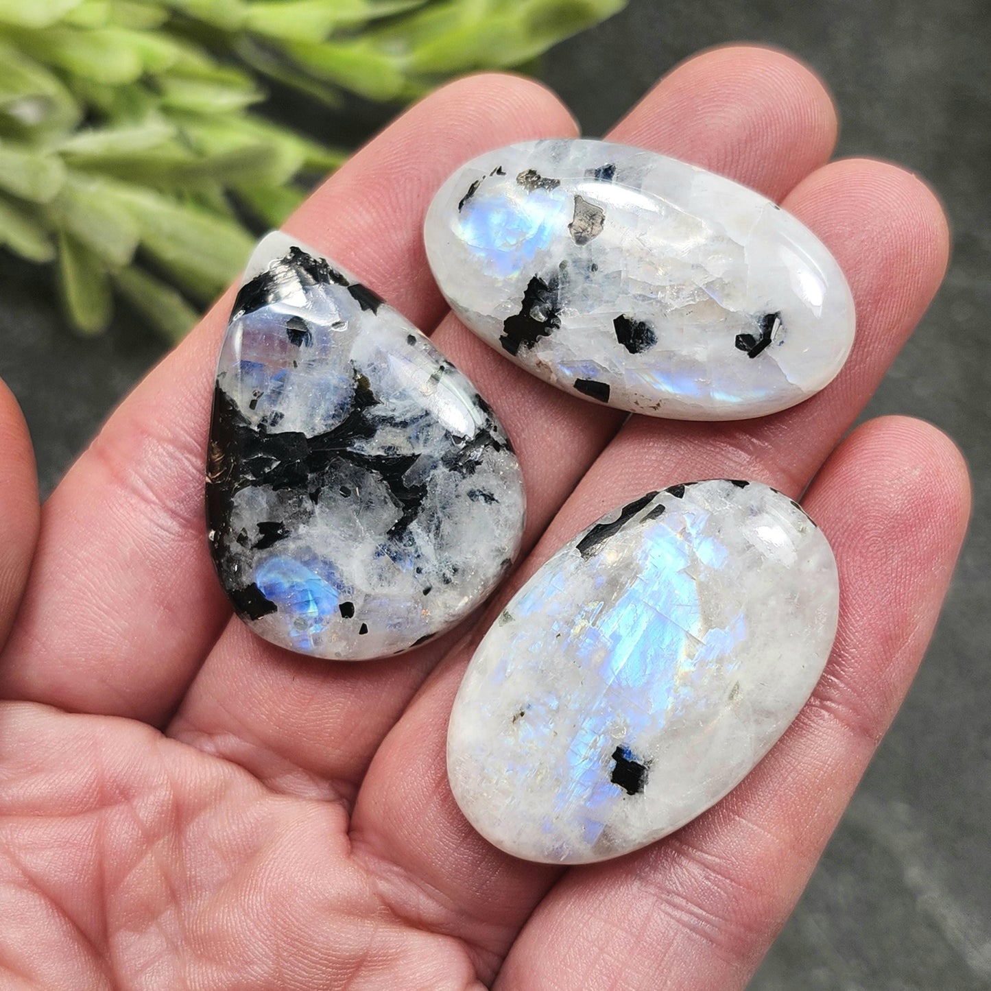 Rainbow Moonstone & Black Tourmaline