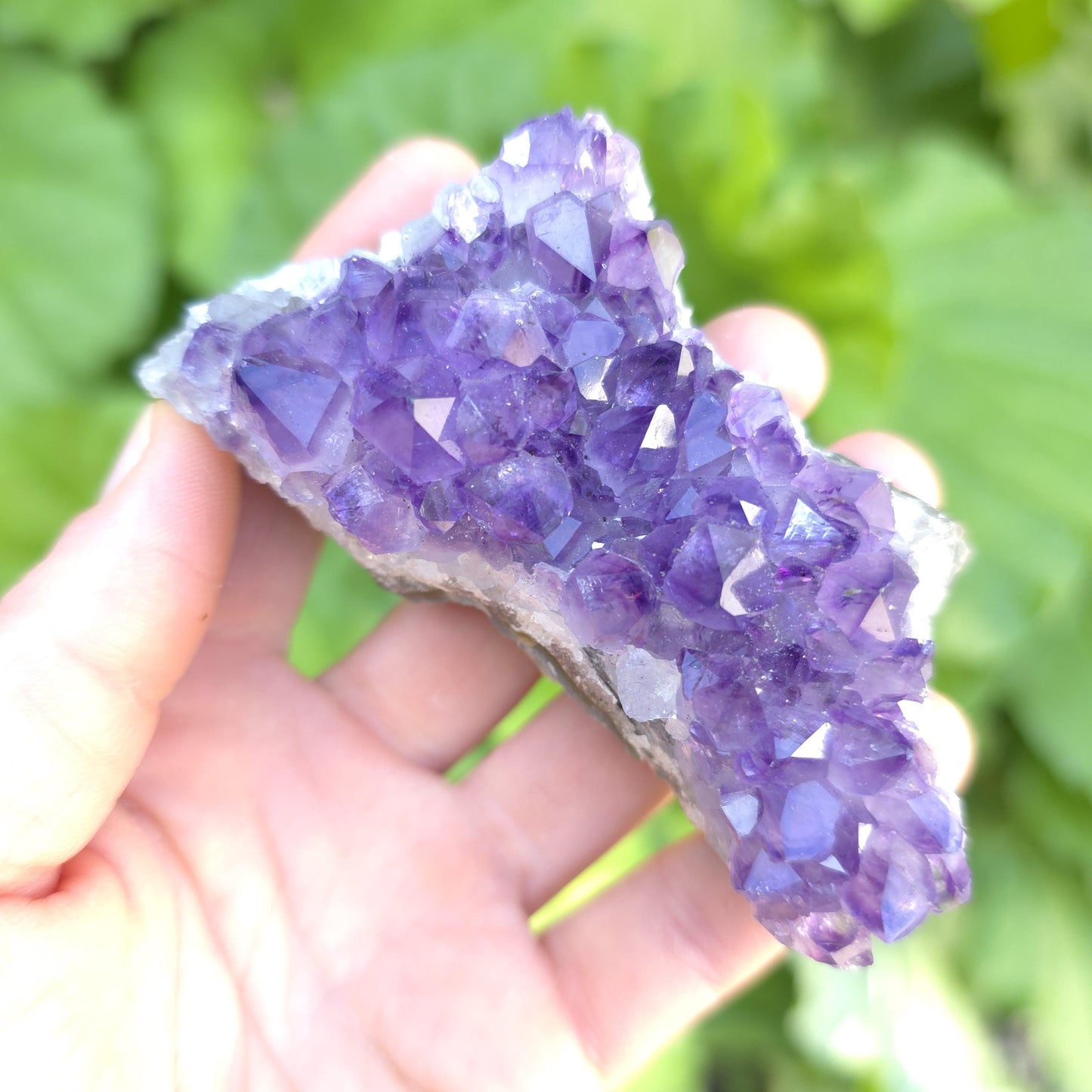 Raw Amethyst Cluster