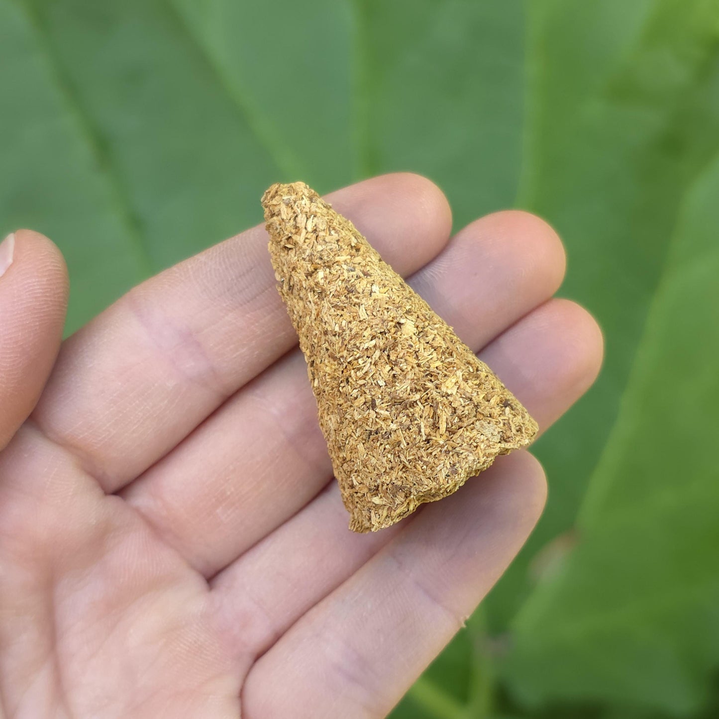 Palo Santo Cone Incense (Set of 3)