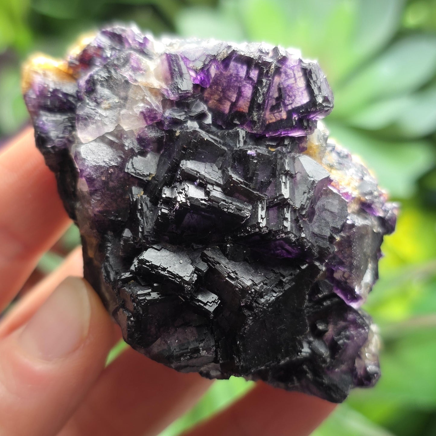 Purple Cubic Fluorite Crystal