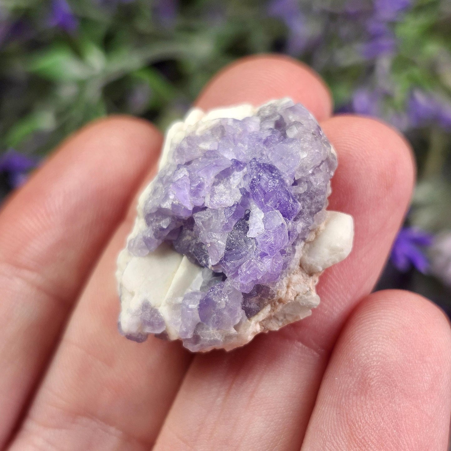 Purple Apatite