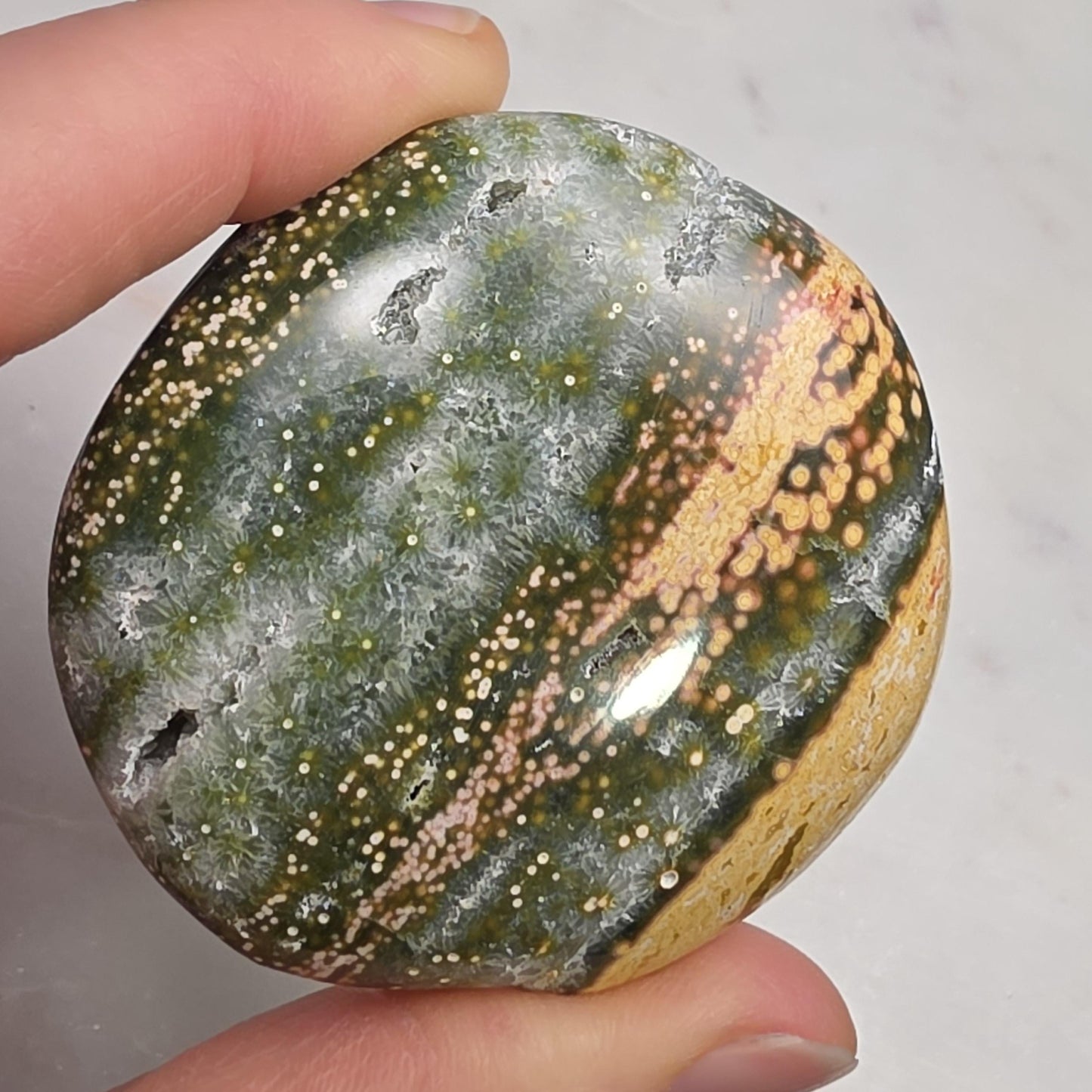 Orbicular Ocean Jasper Palm Stone