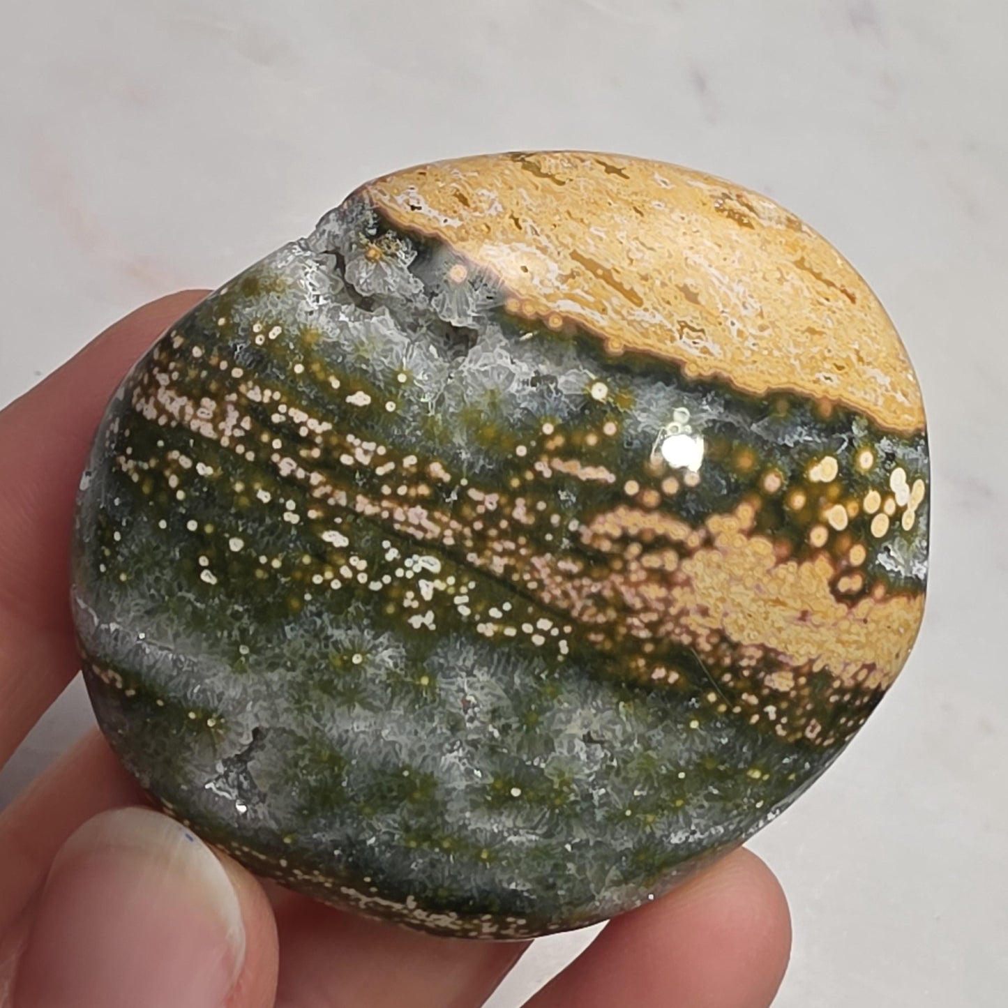 Orbicular Ocean Jasper Palm Stone