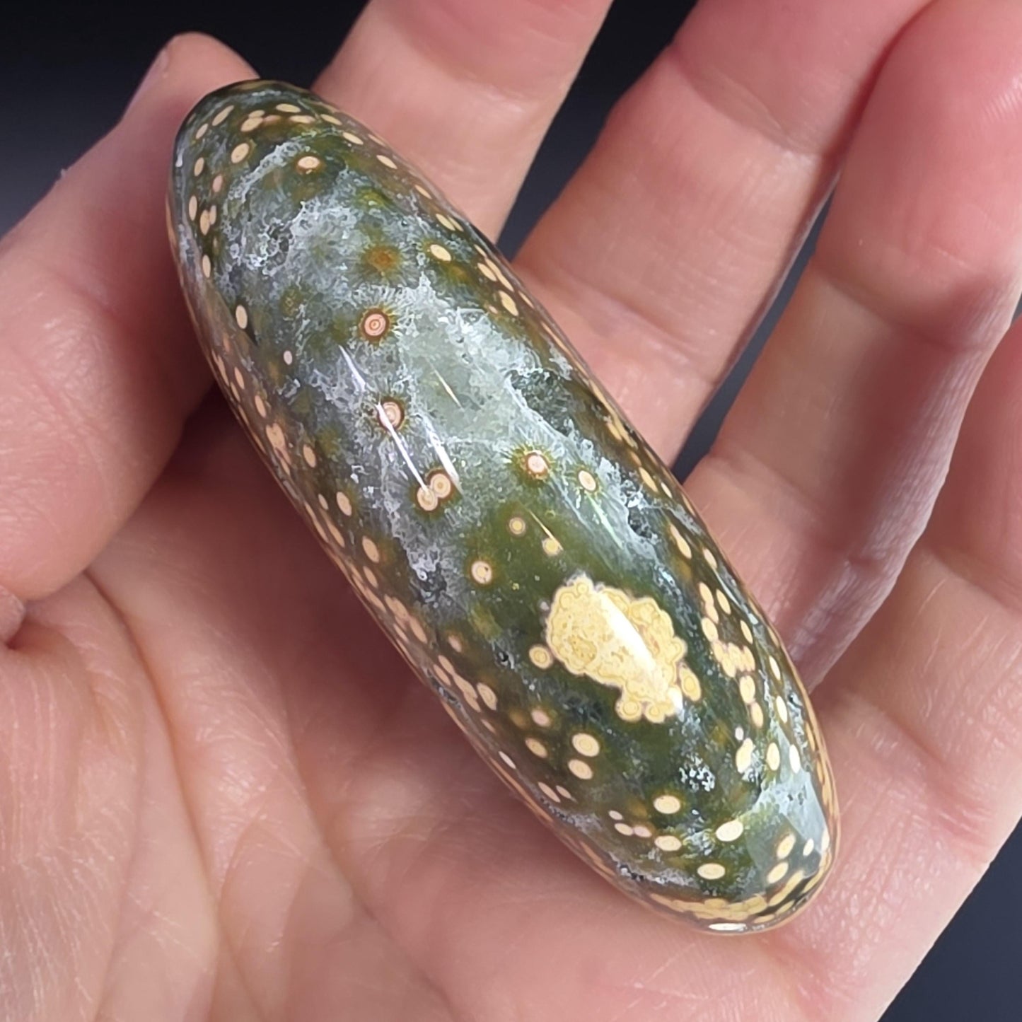 Orbicular Ocean Jasper Palm Stone