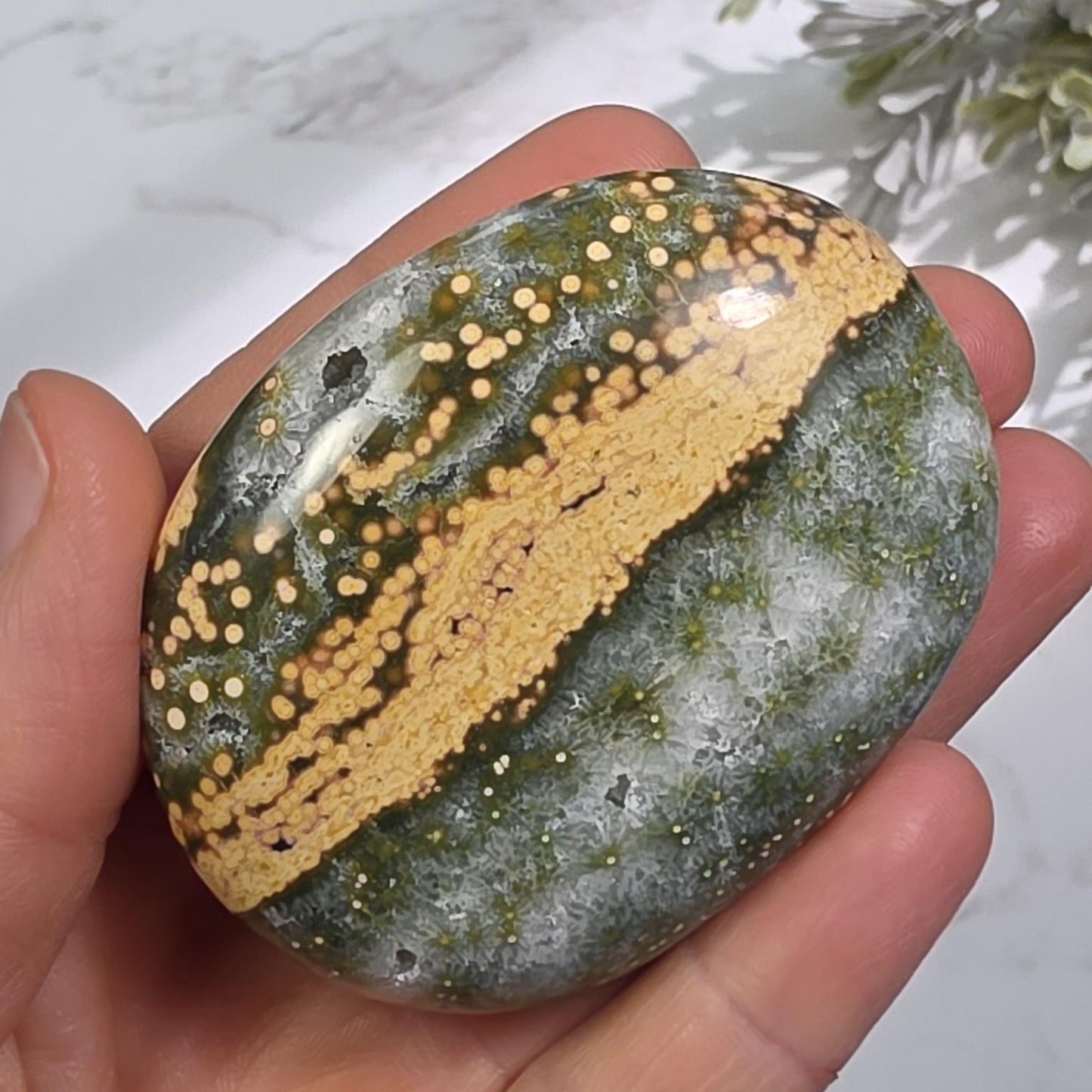 Orbicular Ocean Jasper Palm Stone