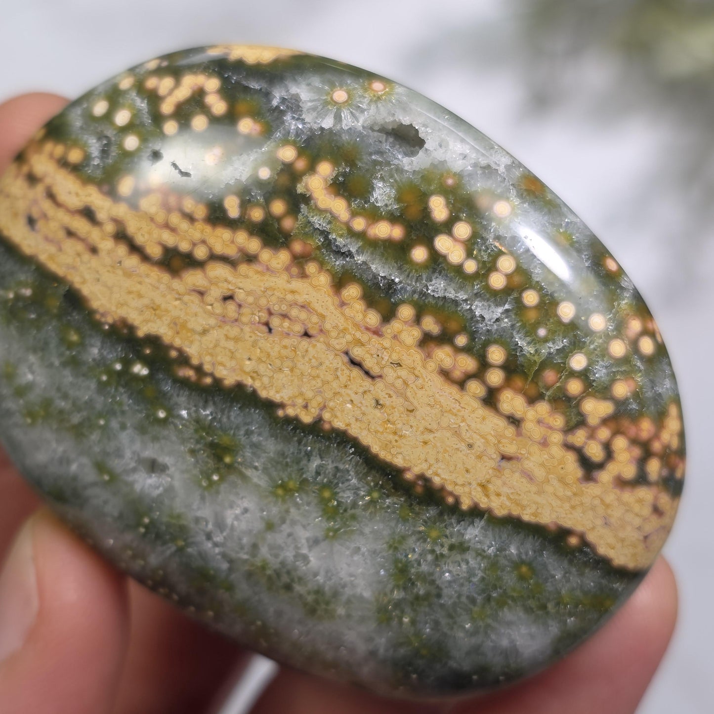 Orbicular Ocean Jasper Palm Stone