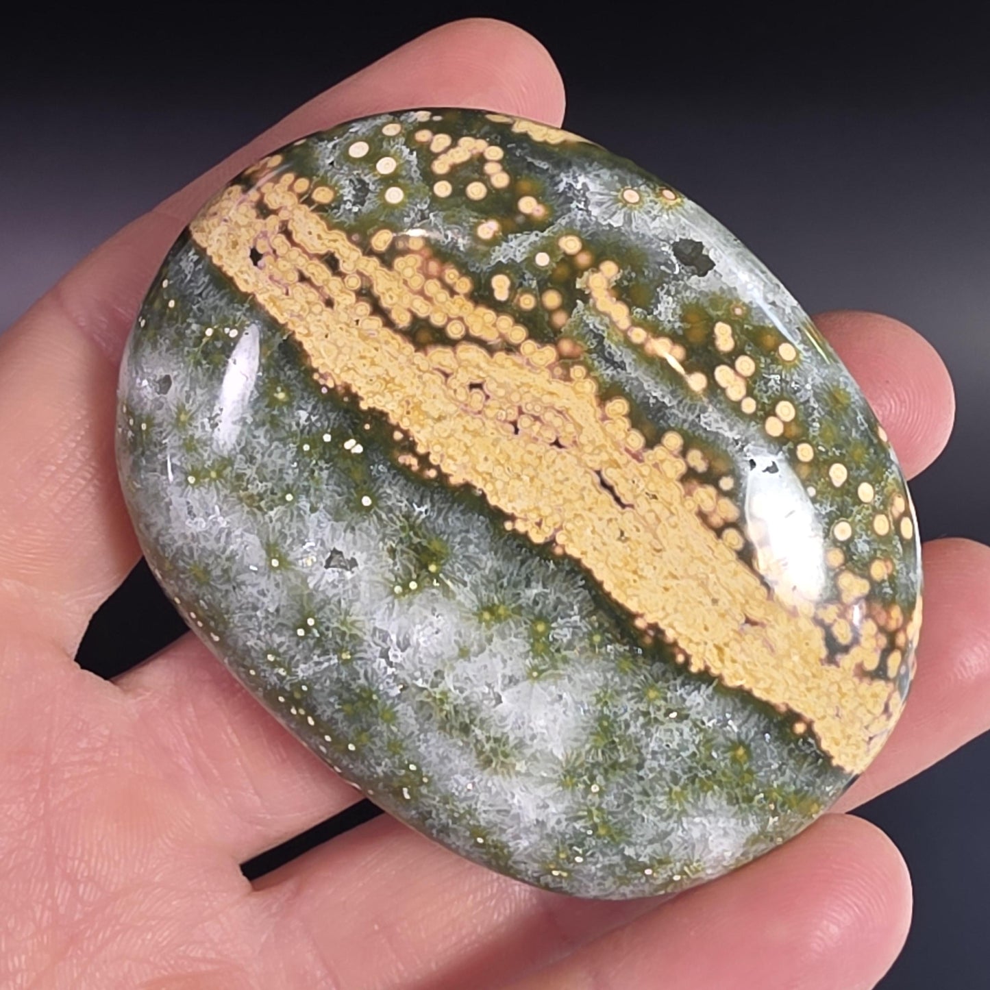 Orbicular Ocean Jasper Palm Stone