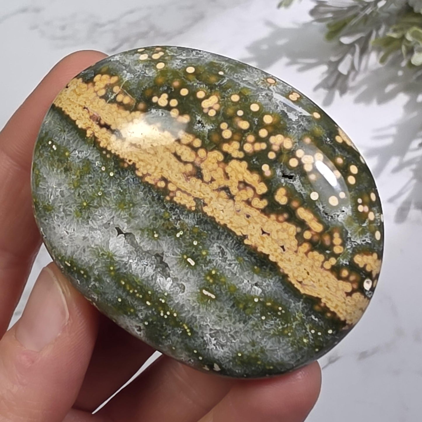 Orbicular Ocean Jasper Palm Stone