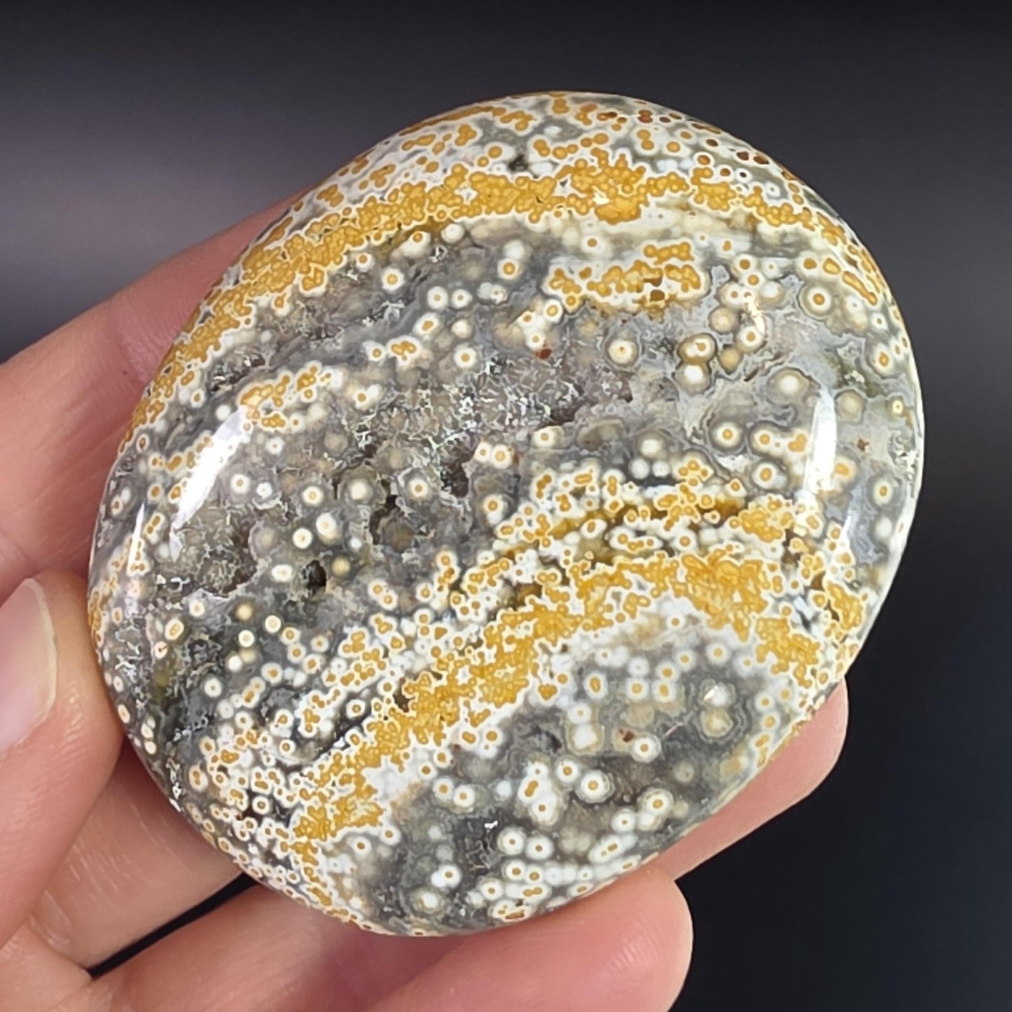 Orbicular Ocean Jasper Palm Stone