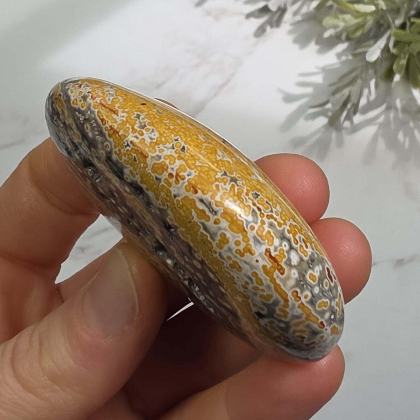 Orbicular Ocean Jasper Palm Stone