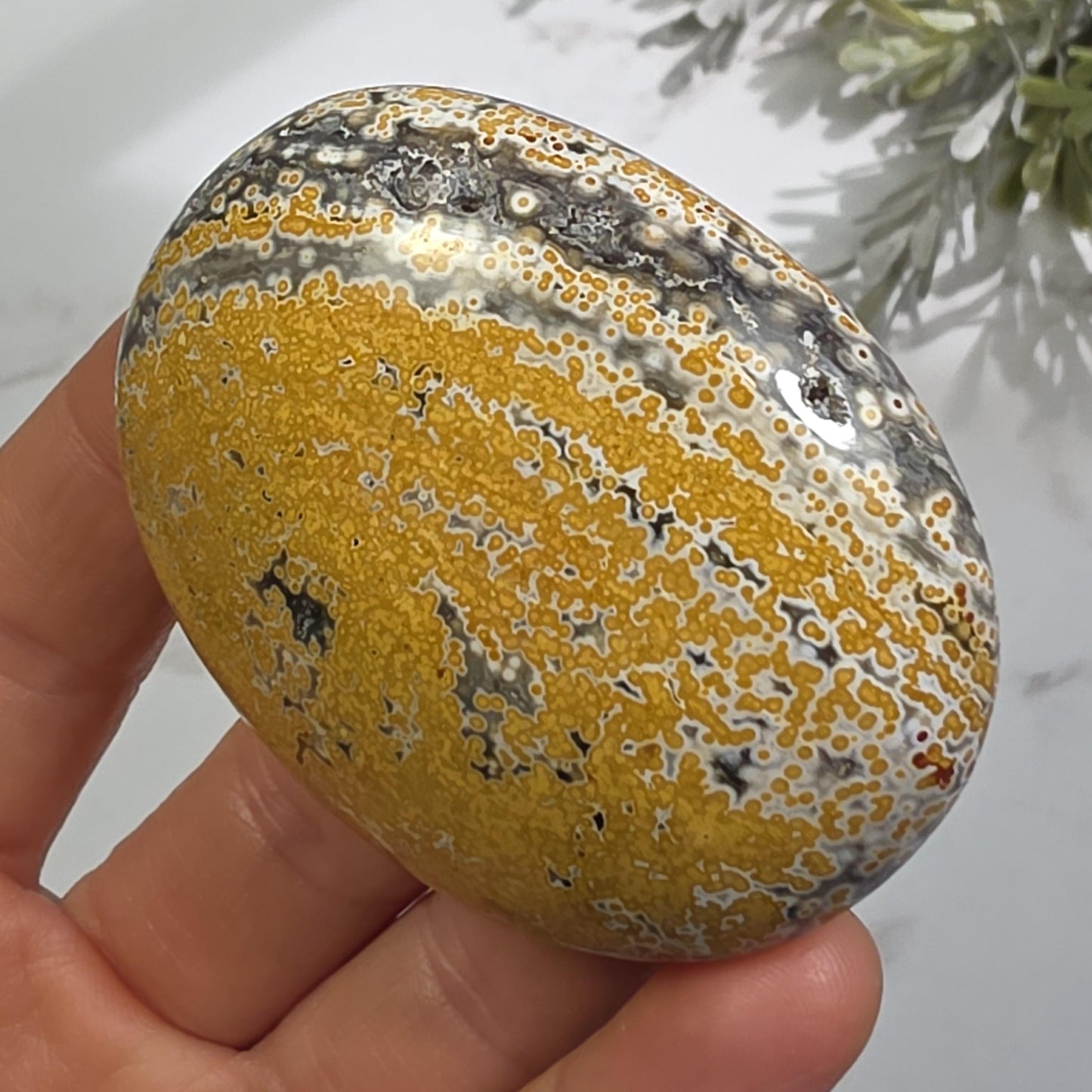 Orbicular Ocean Jasper Palm Stone