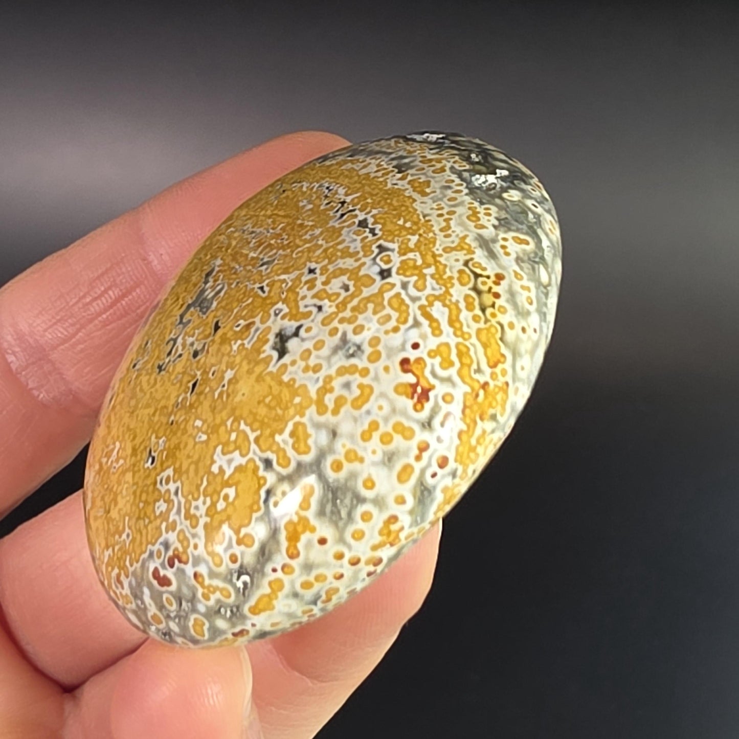 Orbicular Ocean Jasper Palm Stone