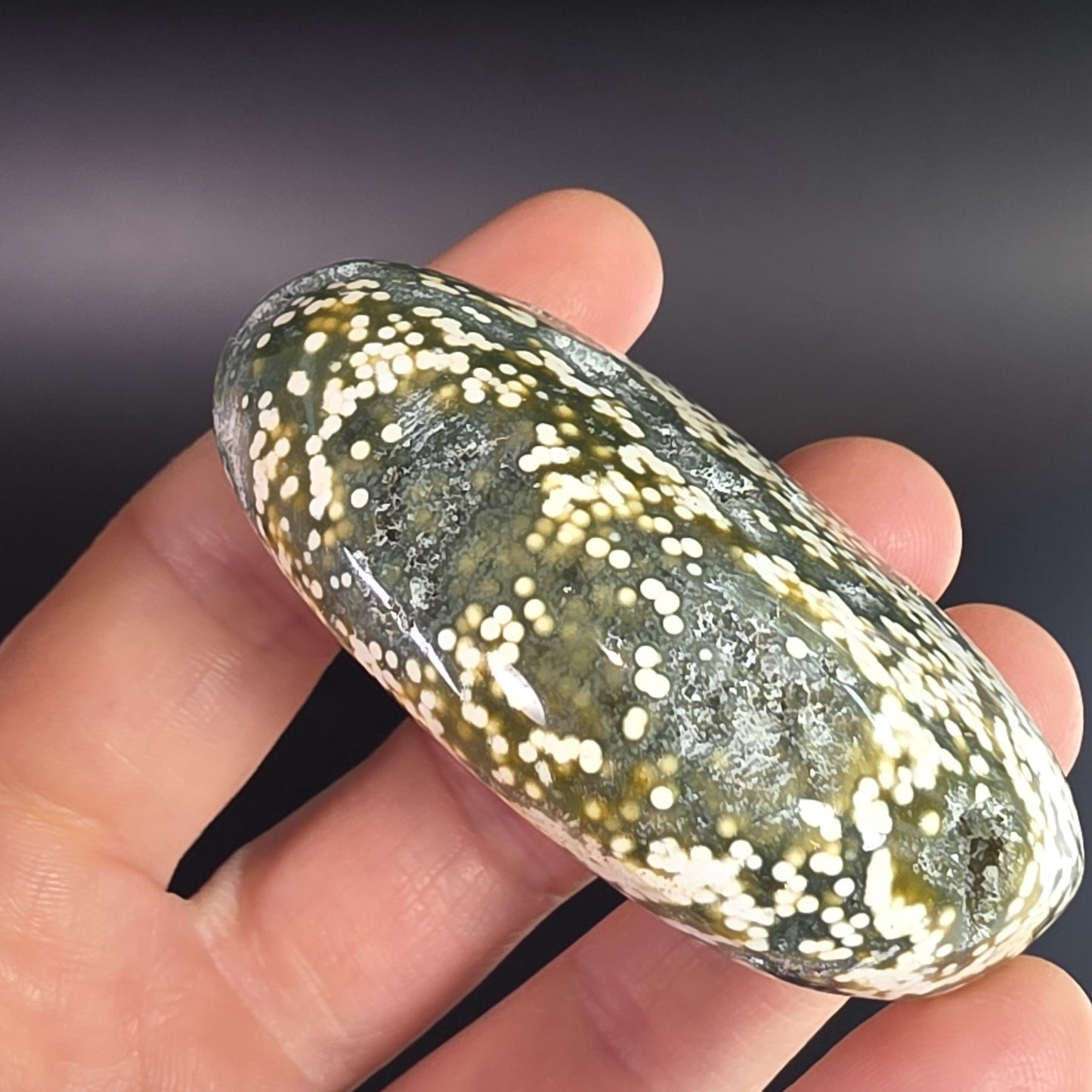 Orbicular Ocean Jasper Palm Stone