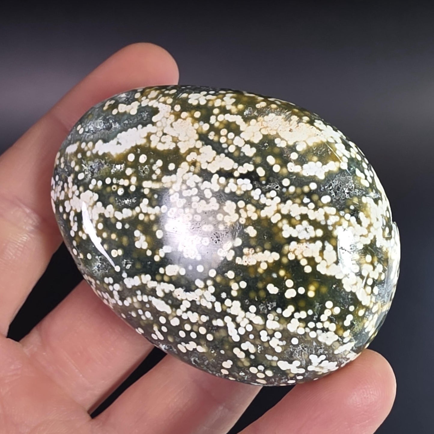 Orbicular Ocean Jasper Palm Stone